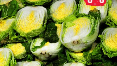 ✨ 놓치면 후회! 괴산통배추 특가 & 리얼 후기🥬