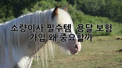 소량이사 필수템! 📦 용달 보험 가입, 왜 중요할까? 🤔